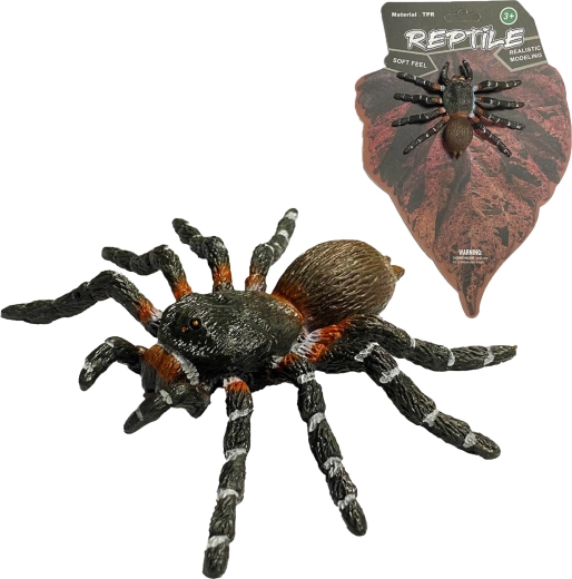 Élő természet: White Knee Spider pók realisztikus modellje (8 cm) - 1 db