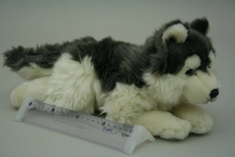 Plüss husky 35 cm