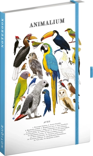 Notique Notes Animalium – Madarak vonalas jegyzetfüzet 13 × 21 cm