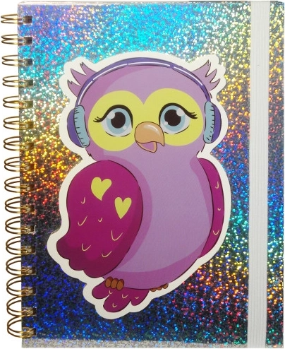 Holografikus napló bagollyal, gumipánttal