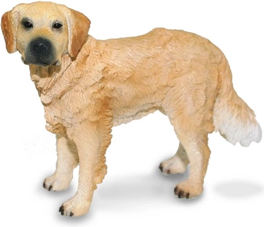 Collecta arany retriever