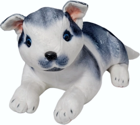 Plüss husky kutya