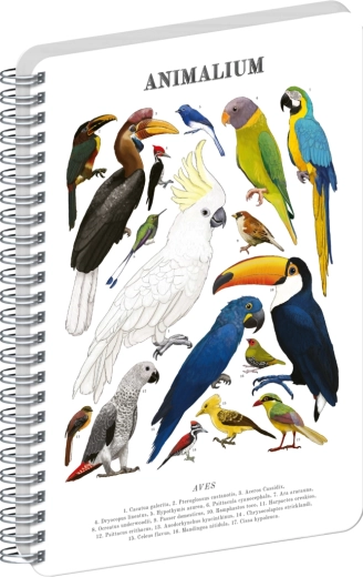 Notique spirálos jegyzettömb Animalium – Madarak, sima, A4