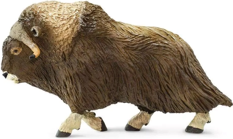 Safari Ltd. pézsmatulok északi figura