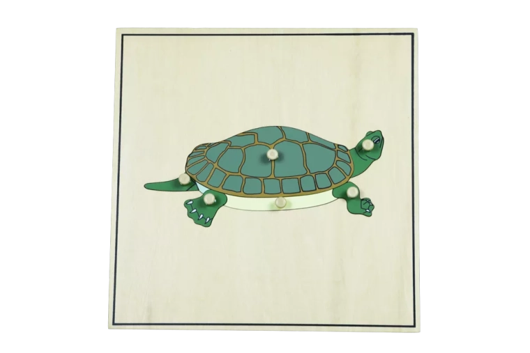 Puzzle csontvázzal – teknős
