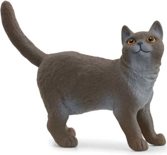 Brit rövidszőrű macska figura