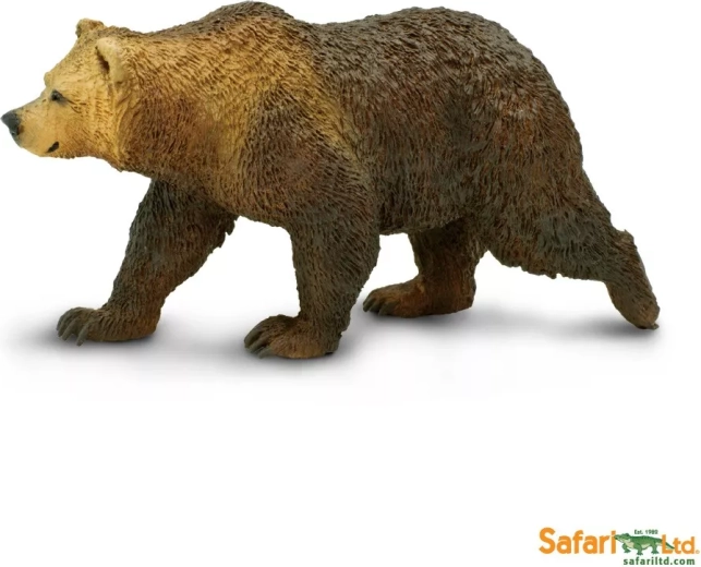 Grizzly medve