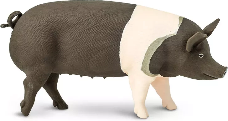 Safari Ltd. Hampshire sertés figura – 1 db