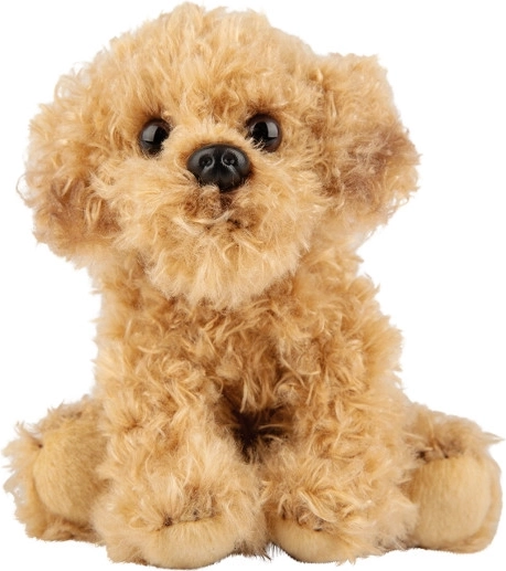 Plüss kutya Labradoodle