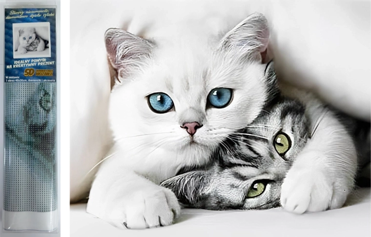 Gyémántfestés Macskatitulok 30 × 40 cm Norimpex