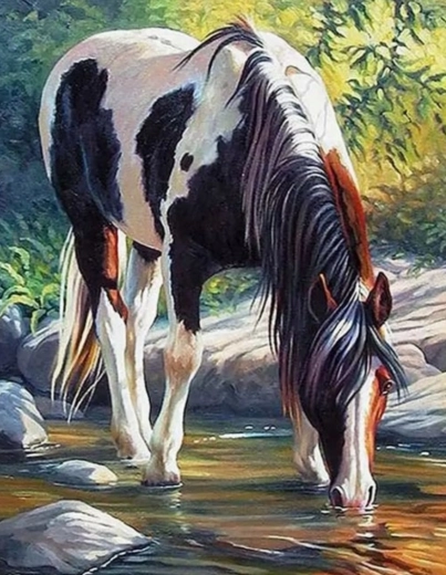 Számfestő készlet – ló a folyónál 40 × 50 cm