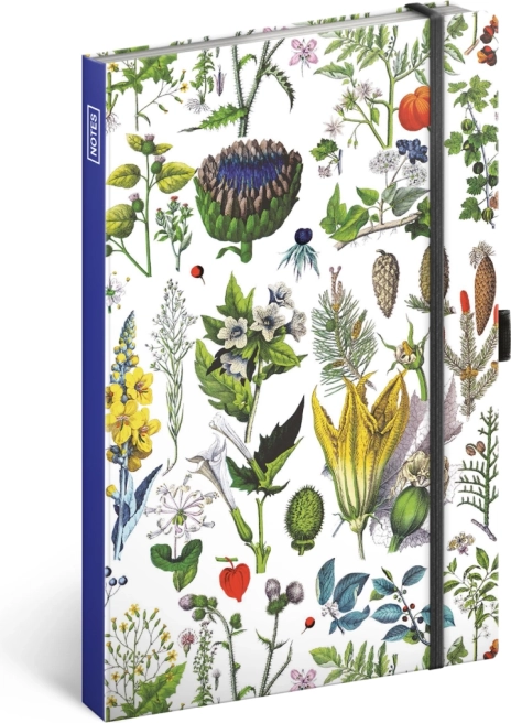 Kateřina Winterová Gyógynövények notesz, pontozott, 13 × 21 cm