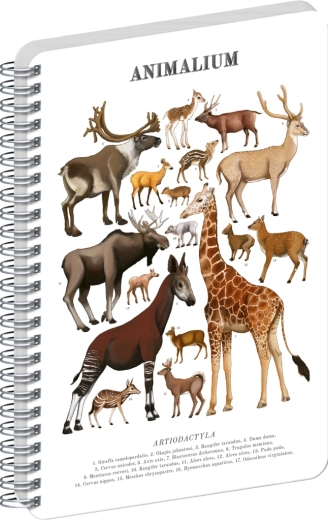 Notique spirálfüzet Animalium párosujjú patások – sima A5