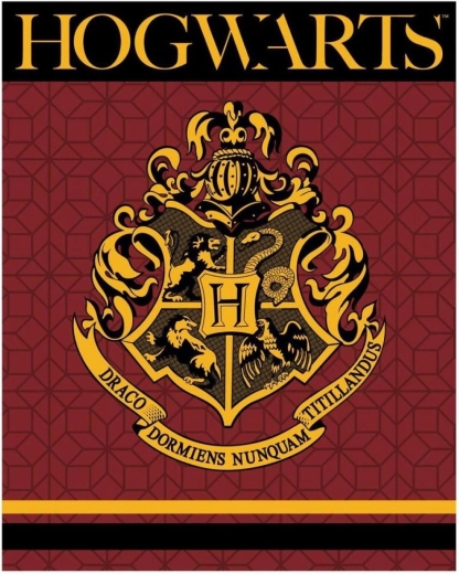Harry Potter XL polár takaró