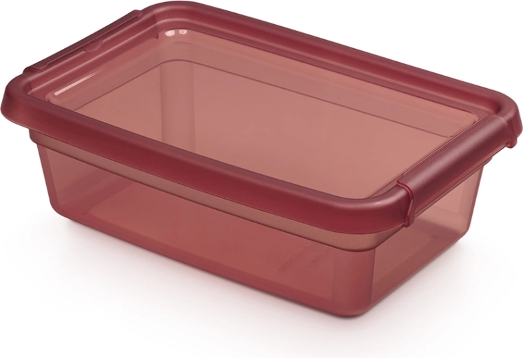 Basestore tárolódoboz fedéllel és csatokkal 3 l, 19 × 28 × 9 cm, rhubarb