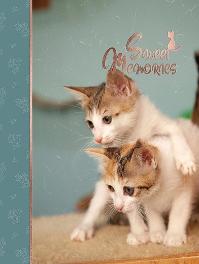 CONCORDE DXP 4696 fotóalbum 96 darab 10 × 15 cm-es fényképhez