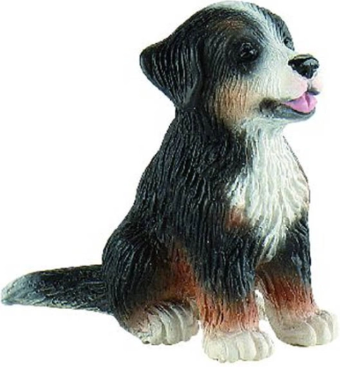 Bernáthegyi pásztorkutya - Joy kölyök