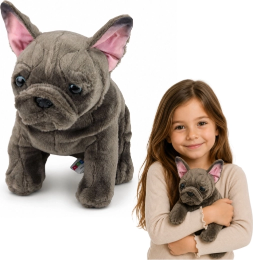Plüss francia bulldog 22 cm