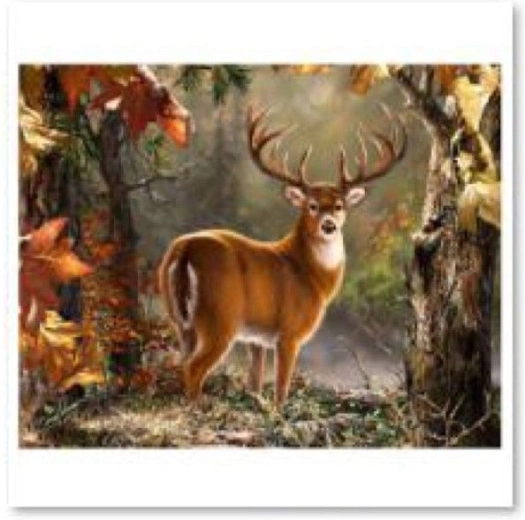Gyémántfestés (diamond painting) – Fenséges szarvas 40 × 30 cm