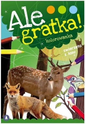 Micsoda kincs! kifestő – Erdei állatok