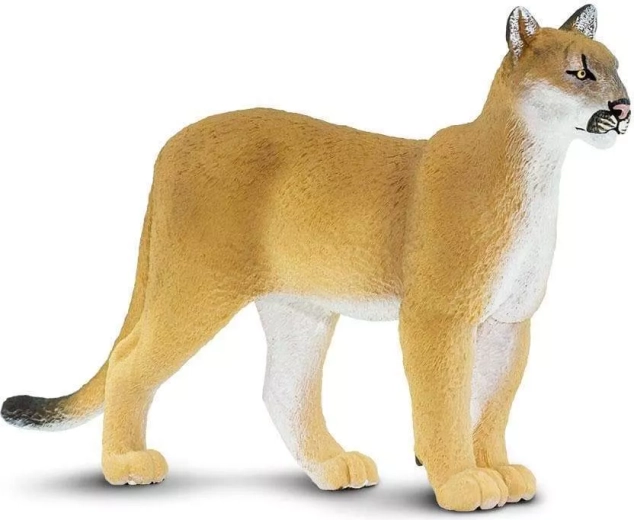 Safari Ltd. floridai puma figura – 1 db