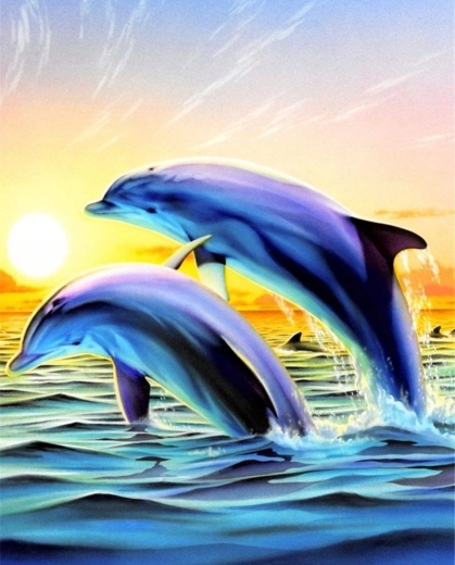Norimpex Számfestő készlet Ugró delfinek 40 × 50 cm
