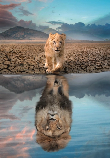 300 darabos puzzle - Önismeret