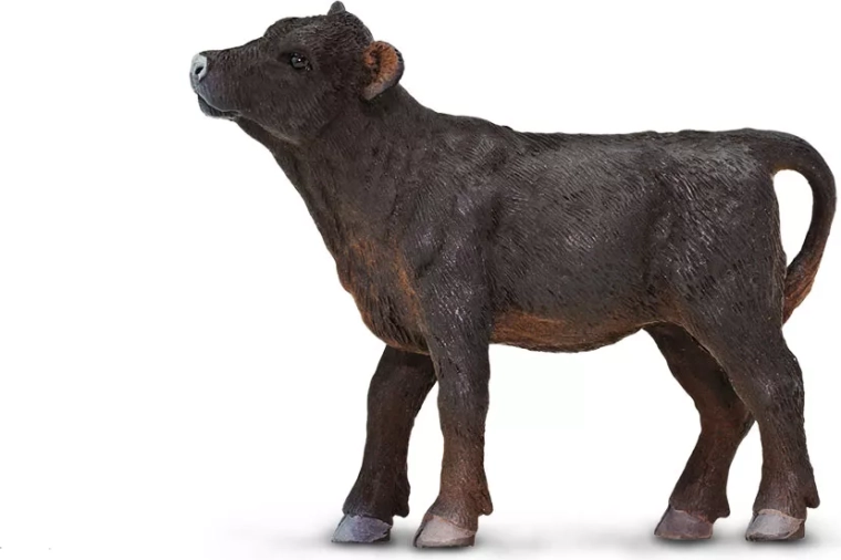 Safari Ltd. angus borjú - 1 db