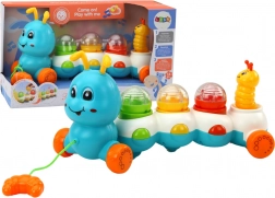 Színes húzható hernyó fényekkel és hangokkal