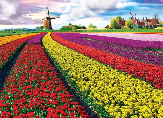 EUROGRAPHICS puzzle tulipánmező – 1000 darab