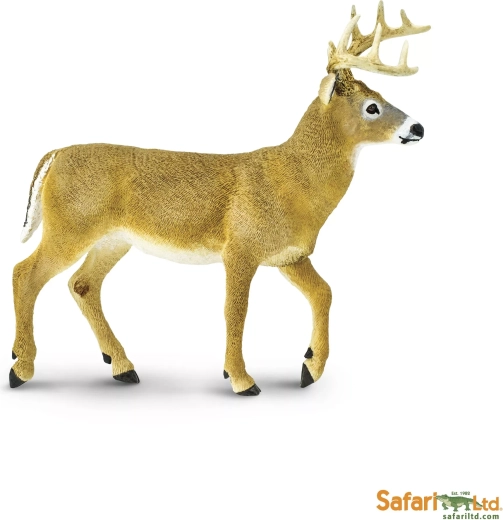 Fehérfarkú szarvasborjú Safari Ltd.
