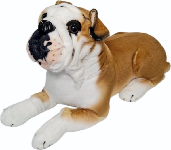 Plüss bulldog kutya – 1 db