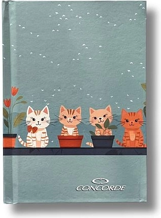 CONCORDE A6 jegyzetfüzet, vonalas 8 mm, 100 lap