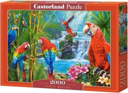 2000 darabos Puzzle – Parrot Meeting