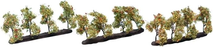 Noch almafa terméssel 3,5 cm (12 db)