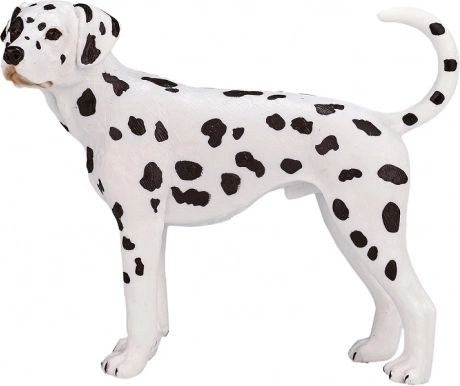 Dalmatin figura