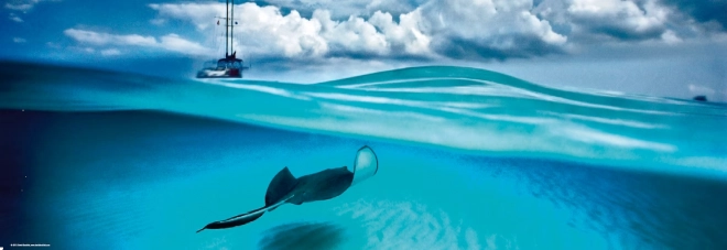 Panoráma puzzle Rájhal - Kajmán-szigetek 1000 darab