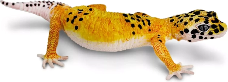 Safari Ltd. éjszakai gekkó figura