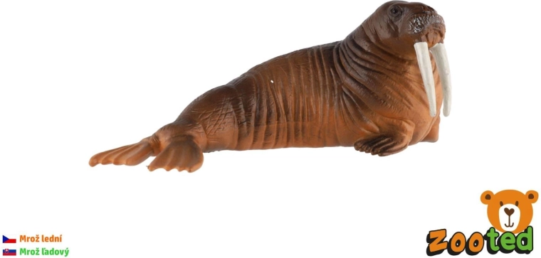 11 cm-es műanyag rozmárfigura