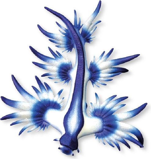 Bullyland kék tengeri csigácska figura