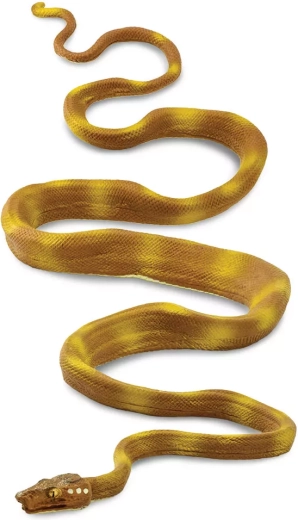 Orinokói psohlavec (Safari Ltd.)