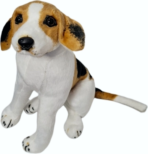 Plüss beagle kutya