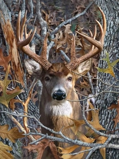 Gyémántfestés – a szarvas tekintete 30 × 40 cm