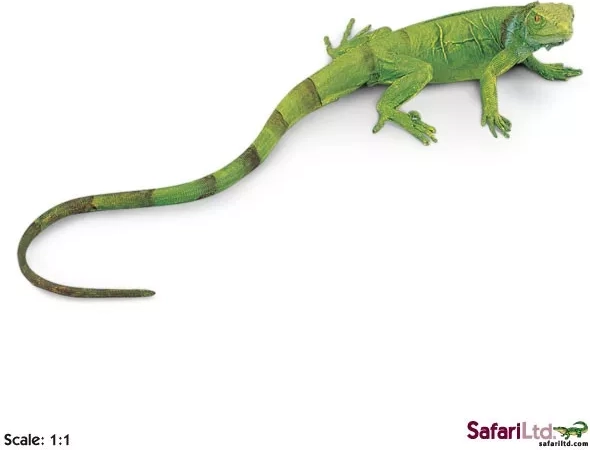 Safari Ltd. zöld leguán kölyök – 1 db