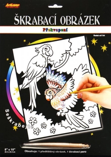 Meglepő kaparós kép Két papagáj 20x25 cm