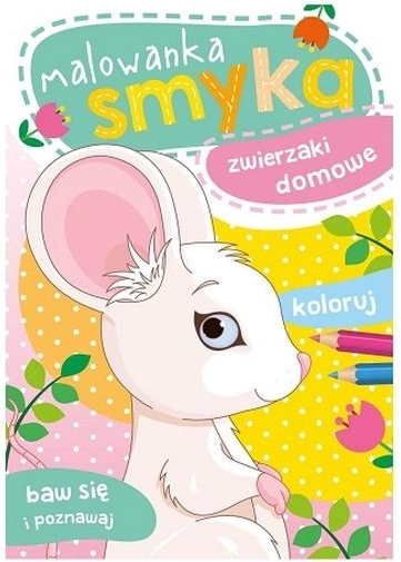Smyk kifestőkönyv: Háziállatok