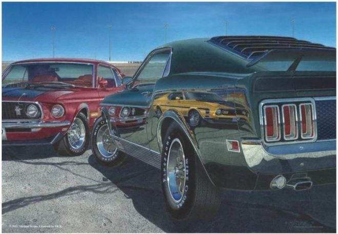 ANATOLIAN Puzzle Gyorsaság 500 darab