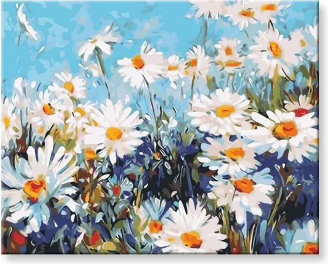 Norimpex Számfestő margaréták 40 × 50 cm