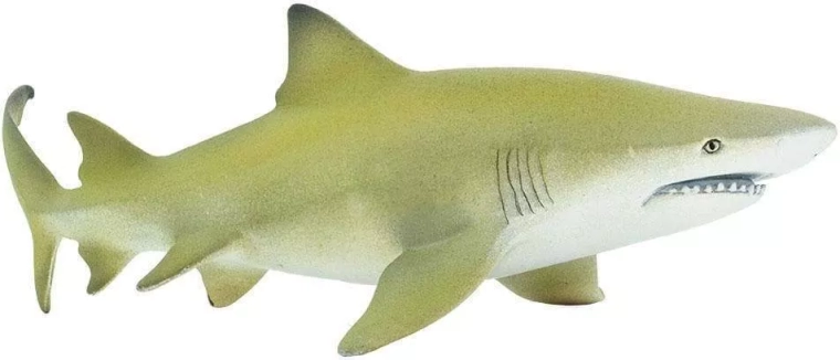 Safari Ltd. citromcápa figura