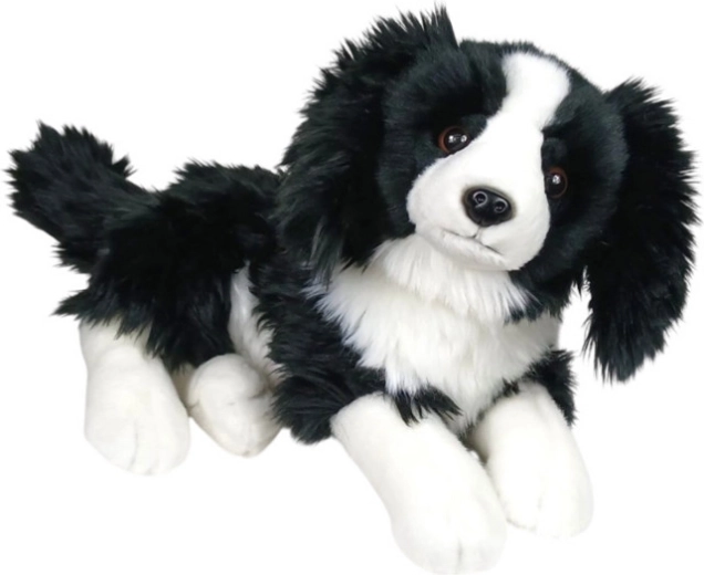 Plüss fekvő border collie kutya 30 cm